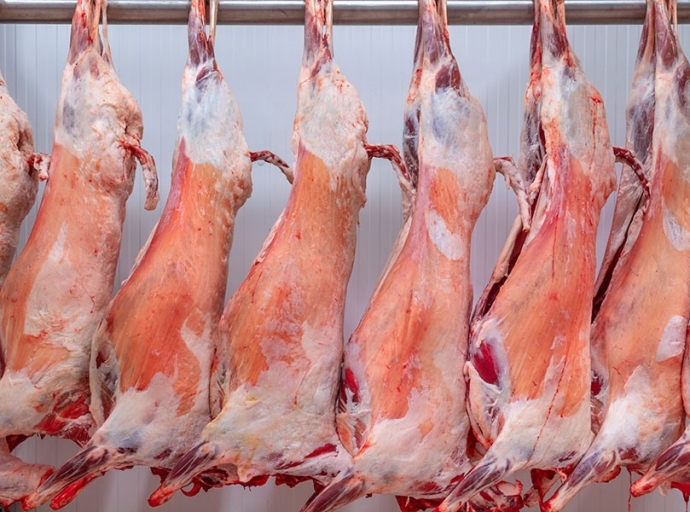 Ενημέρωση προς κτηνοτρόφους που εξυπηρετούνται από τα Δημοτικά Σφαγεία Αμφιλοχίας